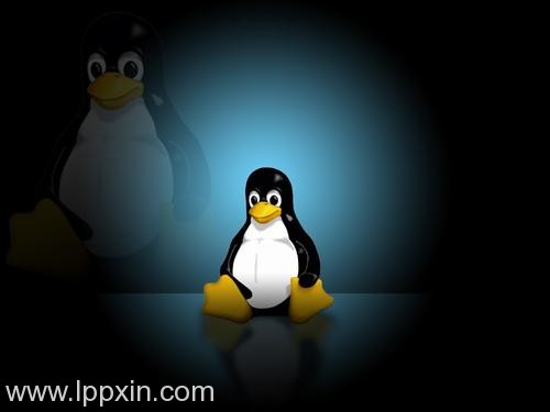 大神教你在Linux中查找和删除重复文件的4种方法