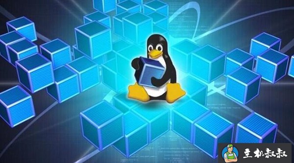 如何优化VMware Linux虚拟机的性能？
