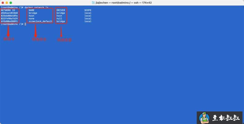 Docker自定义网络详细介绍