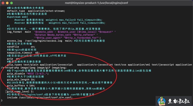 nginx开启gzip压缩的完整步骤记录