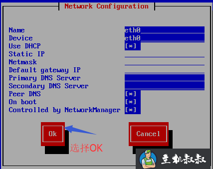 CentOS-NAT模式下（DHCP）联网成功案例