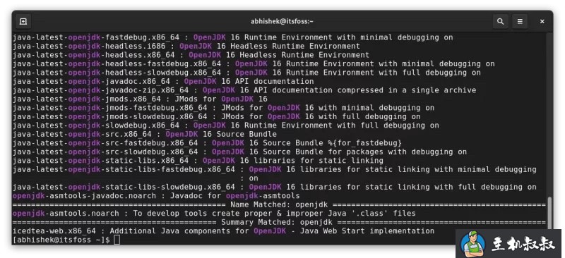 如何在 Fedora Linux 上安装 Java