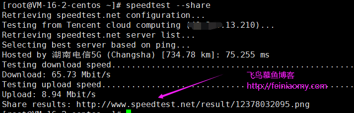 linux服务器测试网速的方法