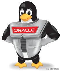 Oracle Linux 能否成为企业级 CentOS 的替代品？