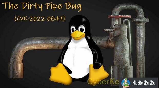 Linux 内核最新高危提权漏洞：脏管道 (Dirty Pipe)